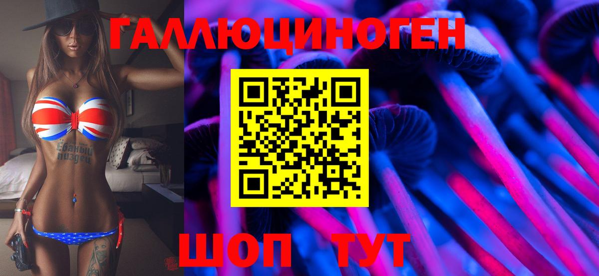 Славянск-на-Кубани  Псилоцибиновые грибы GOLDEN TEACHER  наркошоп  Вход с VPN 