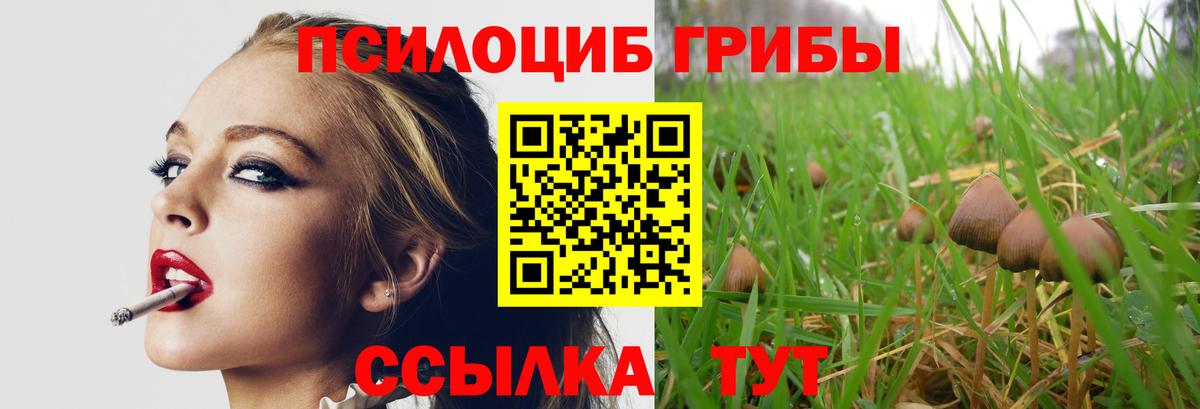 Галлюциногенные грибы Psilocybine cubensis Славянск-на-Кубани